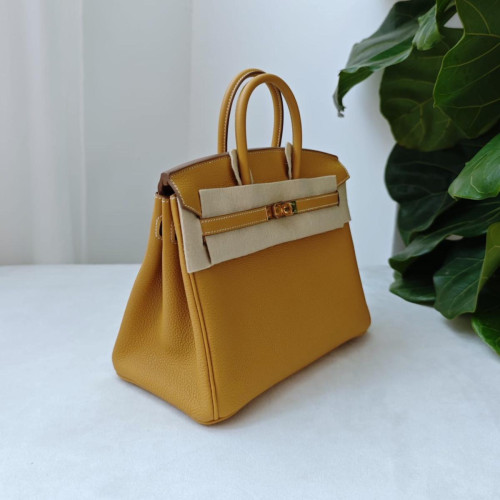 Hermes Birkin 25