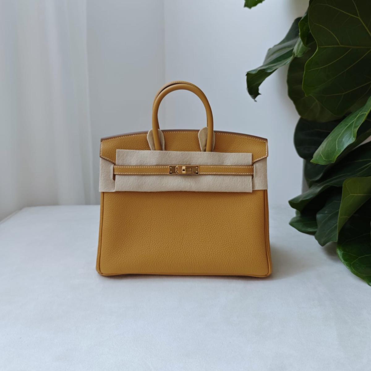 Hermes Birkin 25