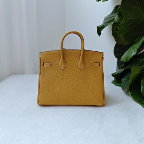 Hermes Birkin 25