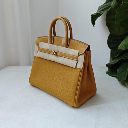 Hermes Birkin 25